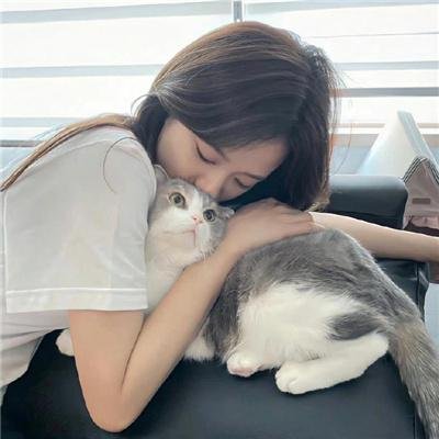 茉迪的彩色小屋